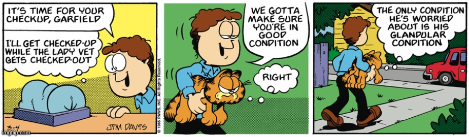 Garfield Comic #46 | image tagged in garfield,comics/cartoons | made w/ Imgflip meme maker