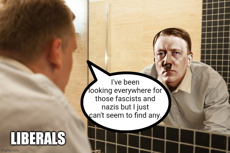 Man looking in mirror | I've been looking everywhere for those fascists and nazis but I just can't seem to find any. LIBERALS | image tagged in man looking in mirror | made w/ Imgflip meme maker