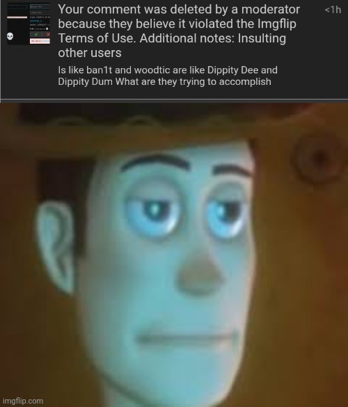 I don't see how I was insulting but whatever | image tagged in disappointed woody | made w/ Imgflip meme maker