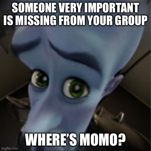Megamind peeking | SOMEONE VERY IMPORTANT IS MISSING FROM YOUR GROUP; WHERE’S MOMO? | image tagged in megamind peeking | made w/ Imgflip meme maker