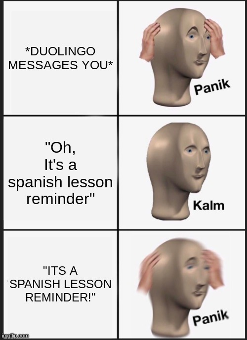 Panik Kalm Panik | *DUOLINGO MESSAGES YOU*; "Oh, It's a spanish lesson reminder"; "ITS A SPANISH LESSON REMINDER!" | image tagged in memes,panik kalm panik | made w/ Imgflip meme maker