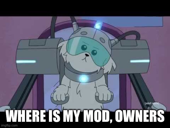 Where are my testicles, Summer? | WHERE IS MY MOD, OWNERS | image tagged in where are my testicles summer | made w/ Imgflip meme maker