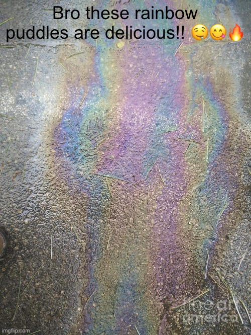 Bro these rainbow puddles are delicious!! 🤤😋🔥 | made w/ Imgflip meme maker