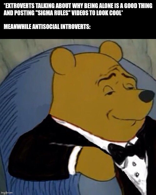 Introverts | image tagged in tuxedo winnie the pooh | made w/ Imgflip meme maker