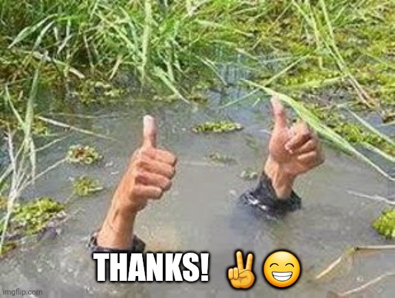 FLOODING THUMBS UP | THANKS!  ✌️? | image tagged in flooding thumbs up | made w/ Imgflip meme maker