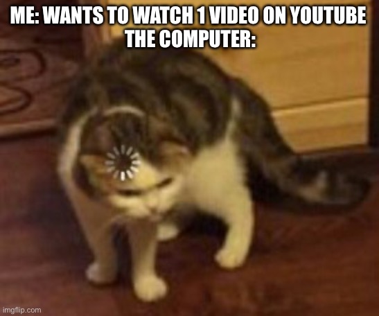 Loading cat | ME: WANTS TO WATCH 1 VIDEO ON YOUTUBE 
THE COMPUTER: | image tagged in loading cat,youtube,funny,cats,memes,computer | made w/ Imgflip meme maker