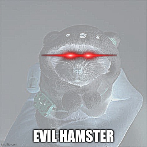 Dr evil | EVIL HAMSTER | image tagged in holding hamster,memes,funny memes,sus,drake hotline bling,leonardo dicaprio wolf of wall street | made w/ Imgflip meme maker