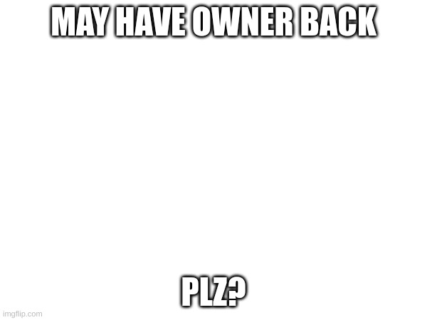 need an answer here (x10,000) | MAY HAVE OWNER BACK; PLZ? | made w/ Imgflip meme maker