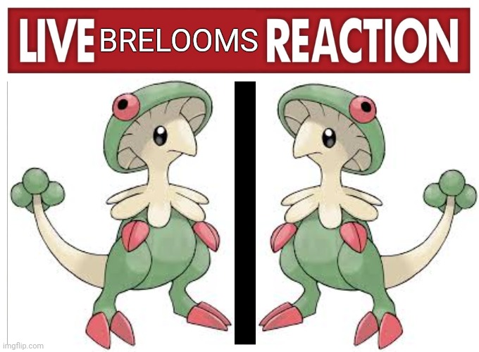Live reaction | BRELOOMS | image tagged in live reaction | made w/ Imgflip meme maker