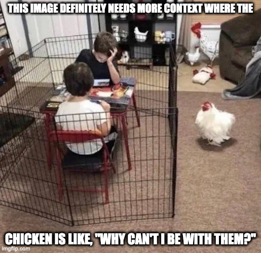 chicken Memes & GIFs - Imgflip