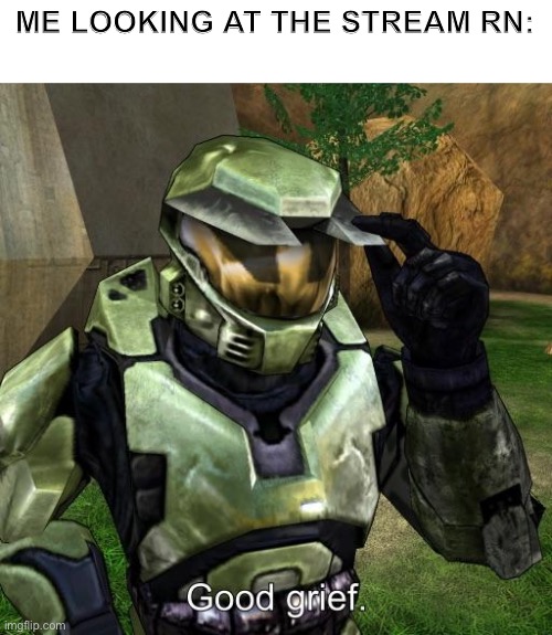 say the n wodr in public | ME LOOKING AT THE STREAM RN: | image tagged in halo master chief good grief | made w/ Imgflip meme maker