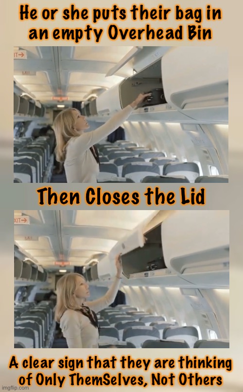 Autopilot defaults to Self.  Easier than Thinking, because, the most important person is taken care of | He or she puts their bag in
an empty Overhead Bin; Then Closes the Lid; A clear sign that they are thinking
of Only ThemSelves, Not Others | image tagged in memes,thinking,self self self,a sign of the problems in society,absorbed with self,fjb voters | made w/ Imgflip meme maker