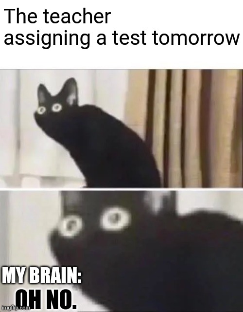 True tho | The teacher assigning a test tomorrow; MY BRAIN:; OH NO. | image tagged in oh no black cat | made w/ Imgflip meme maker