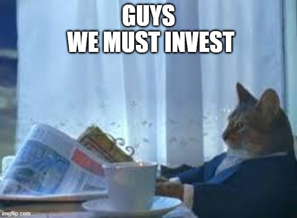 cat suit 1 | GUYS
 WE MUST INVEST | image tagged in cat suit 1 | made w/ Imgflip meme maker
