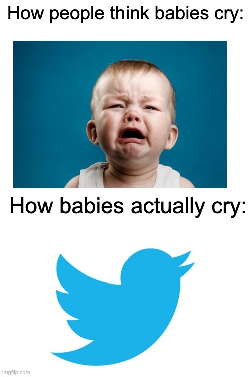 mE dUM DUm tWitTERrer!!. crInGe CrINge CRINge cRiNGe cRINge CRinGe cRINGE | How people think babies cry:; How babies actually cry: | image tagged in twitter | made w/ Imgflip meme maker