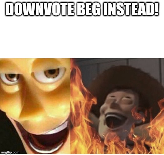 Fire Woody | DOWNVOTE BEG INSTEAD! | image tagged in fire woody | made w/ Imgflip meme maker