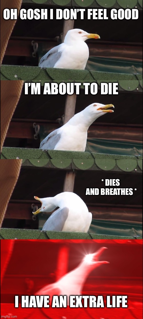 When you have an extra life | OH GOSH I DON’T FEEL GOOD; I’M ABOUT TO DIE; * DIES  AND BREATHES *; I HAVE AN EXTRA LIFE | image tagged in memes,inhaling seagull,funny,fun | made w/ Imgflip meme maker