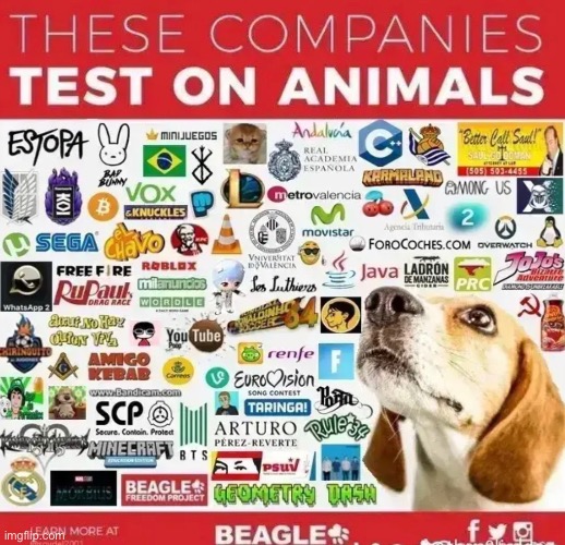 real | image tagged in bruh,lol,why are you reading this | made w/ Imgflip meme maker