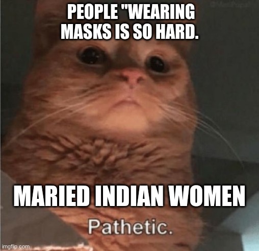 Pathetic Cat | PEOPLE "WEARING MASKS IS SO HARD. MARIED INDIAN WOMEN | image tagged in pathetic cat | made w/ Imgflip meme maker