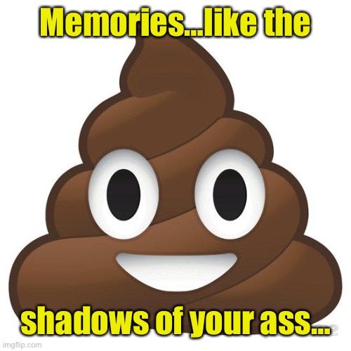 poop | Memories…like the shadows of your ass… | image tagged in poop | made w/ Imgflip meme maker