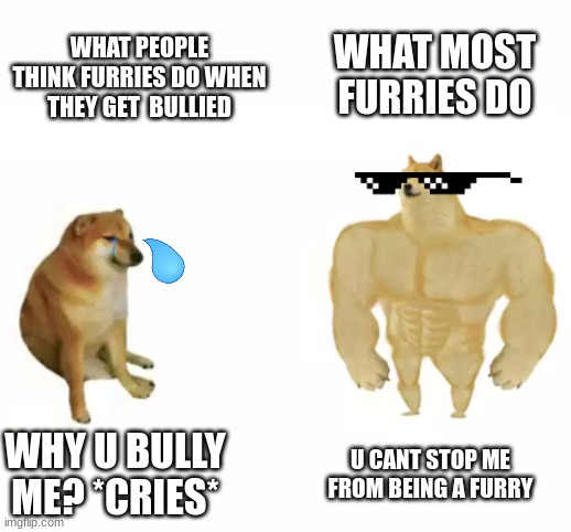 Furries are not weak, and they don't suck, only some tho | WHAT MOST FURRIES DO; WHAT PEOPLE THINK FURRIES DO WHEN THEY GET  BULLIED; U CANT STOP ME FROM BEING A FURRY; WHY U BULLY ME? *CRIES* | image tagged in buff doge vs cheems reversed | made w/ Imgflip meme maker