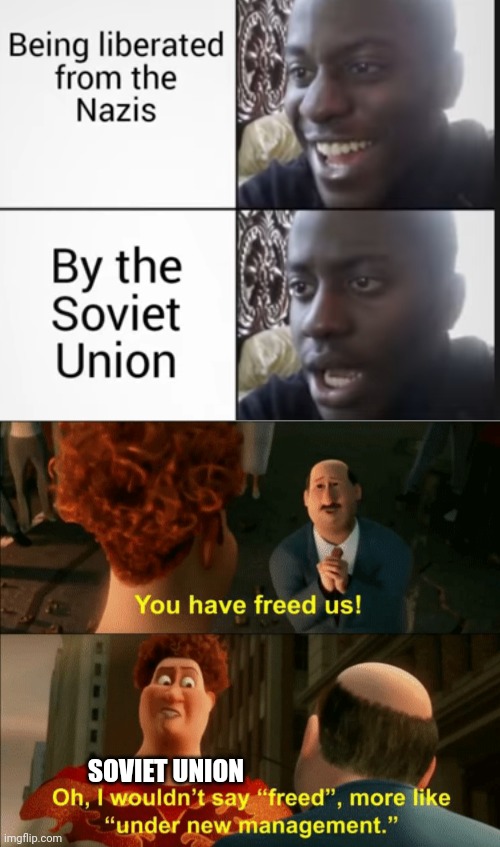 SOVIET UNION | image tagged in i wouldnit say freed | made w/ Imgflip meme maker