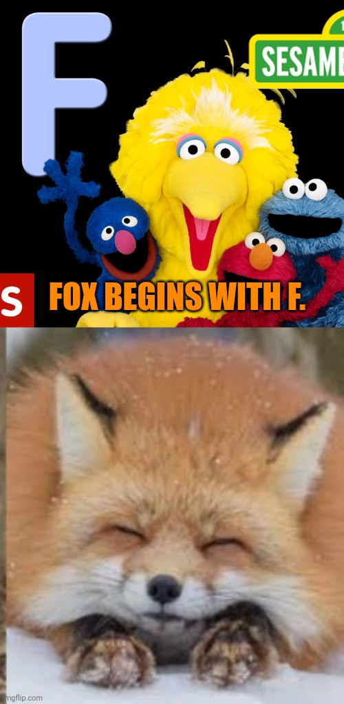 More fox facts. | FOX BEGINS WITH F. | image tagged in bullshit | made w/ Imgflip meme maker