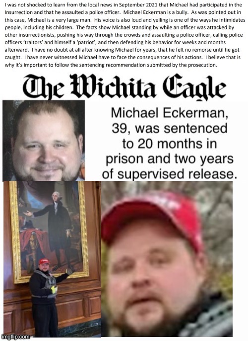 Bully For You Mikey | image tagged in traitor,treason,terrorist,the wichita lie fan | made w/ Imgflip meme maker