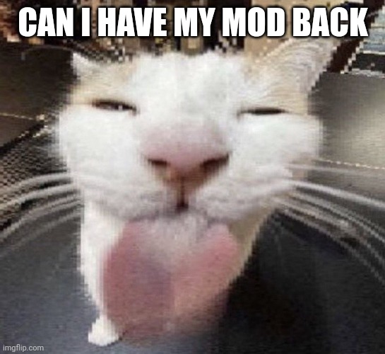 bleh | CAN I HAVE MY MOD BACK | image tagged in bleh | made w/ Imgflip meme maker