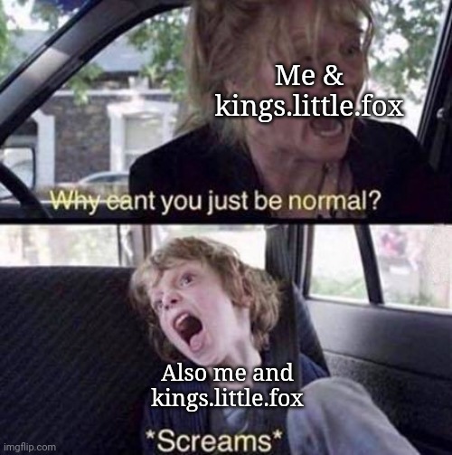 Why Can't You Just Be Normal | Me & kings.little.fox; Also me and kings.little.fox | image tagged in why can't you just be normal | made w/ Imgflip meme maker