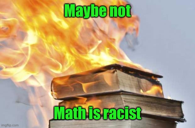burning books | Maybe not Math is racist | image tagged in burning books | made w/ Imgflip meme maker