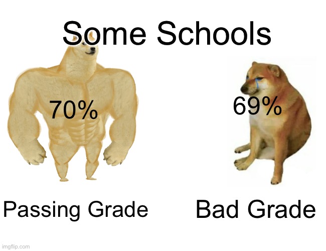 Buff Doge vs. Cheems | Some Schools; 69%; 70%; Passing Grade; Bad Grade | image tagged in memes,buff doge vs cheems | made w/ Imgflip meme maker