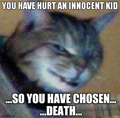 so you have chosen death | YOU HAVE HURT AN INNOCENT KID | image tagged in so you have chosen death | made w/ Imgflip meme maker