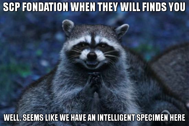 Evil racoon | SCP FONDATION WHEN THEY WILL FINDS YOU WELL. SEEMS LIKE WE HAVE AN INTELLIGENT SPECIMEN HERE | image tagged in evil racoon | made w/ Imgflip meme maker