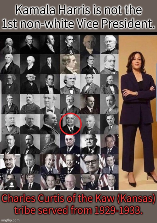 Herbert Hoover's running mate. | Kamala Harris is not the 1st non-white Vice President. Charles Curtis of the Kaw (Kansas)
tribe served from 1929-1933. | image tagged in vice president chart,native american,history | made w/ Imgflip meme maker