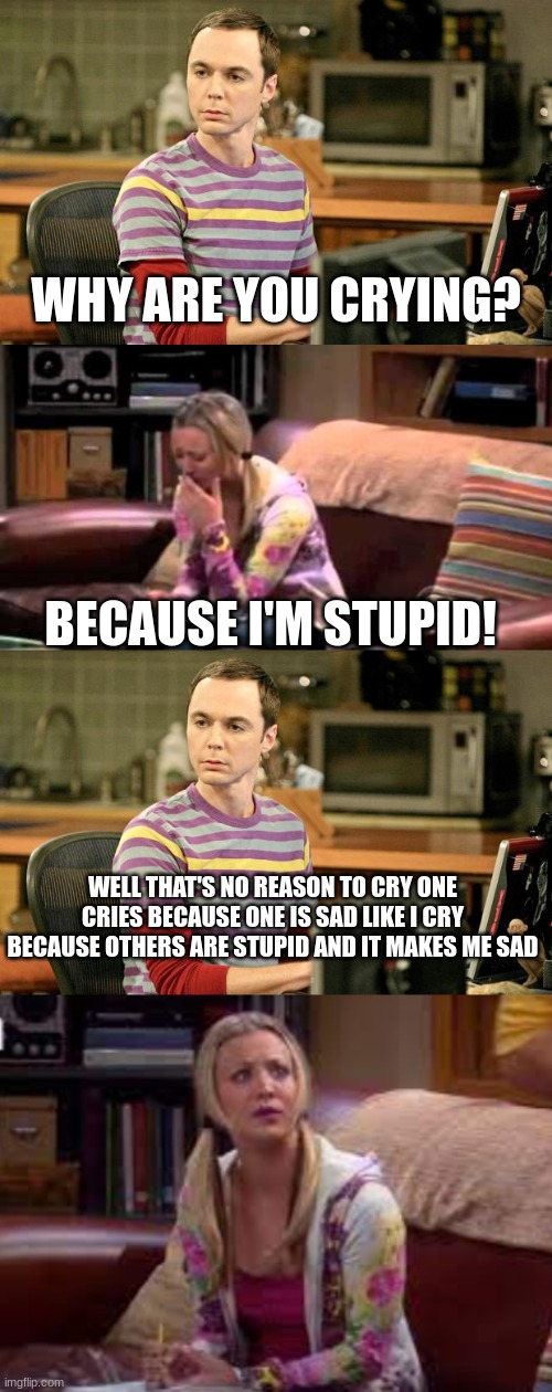 the big bang theory | WHY ARE YOU CRYING? BECAUSE I'M STUPID! WELL THAT'S NO REASON TO CRY ONE CRIES BECAUSE ONE IS SAD LIKE I CRY BECAUSE OTHERS ARE STUPID AND IT MAKES ME SAD | image tagged in sheldon big bang theory | made w/ Imgflip meme maker