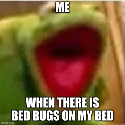 AHHHHHHHHHHHHH | ME; WHEN THERE IS BED BUGS ON MY BED | image tagged in ahhhhhhhhhhhhh | made w/ Imgflip meme maker