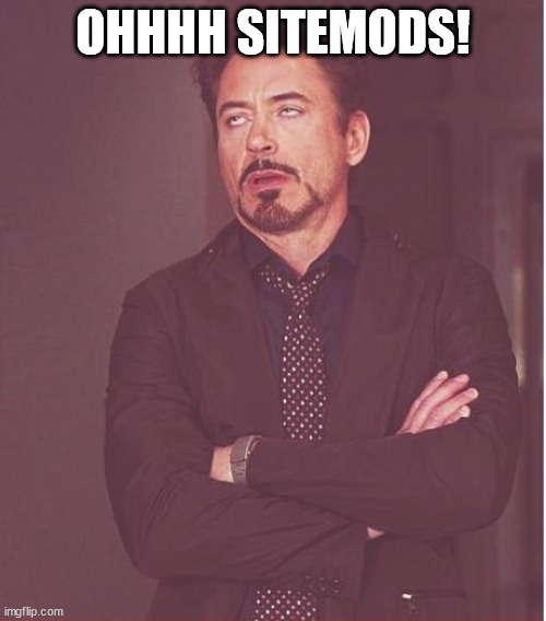 no | OHHHH SITEMODS! | image tagged in memes,face you make robert downey jr | made w/ Imgflip meme maker