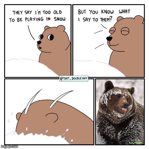 image tagged in bear,snow | made w/ Imgflip meme maker