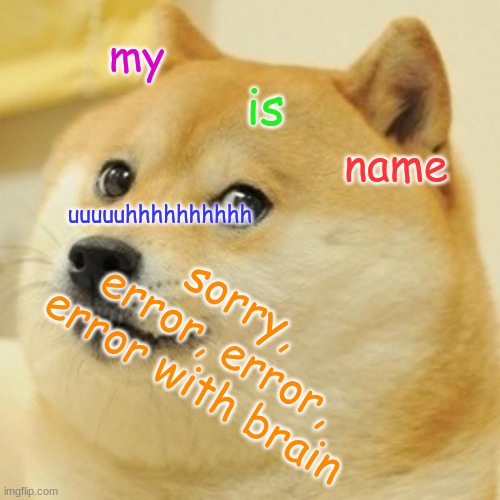 error with brain | my; is; name; uuuuuhhhhhhhhhh; sorry, error, error, error with brain | image tagged in memes,doge | made w/ Imgflip meme maker