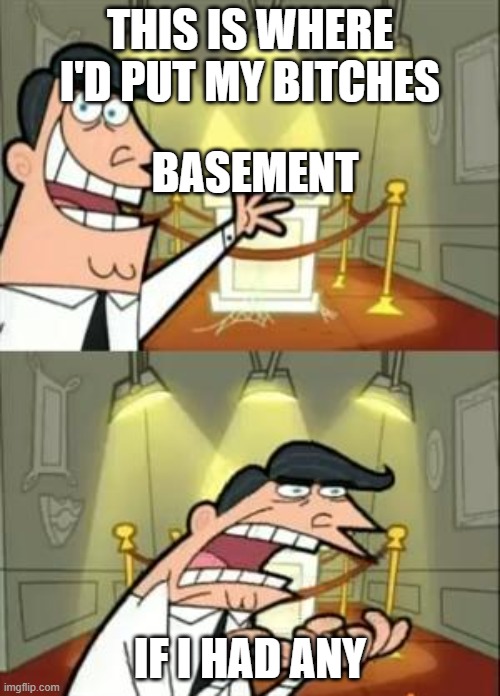 This Is Where I'd Put My Trophy If I Had One | THIS IS WHERE I'D PUT MY BITCHES; BASEMENT; IF I HAD ANY | image tagged in memes,this is where i'd put my trophy if i had one | made w/ Imgflip meme maker