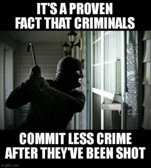 Shoot criminals and stop crime | image tagged in guns | made w/ Imgflip meme maker