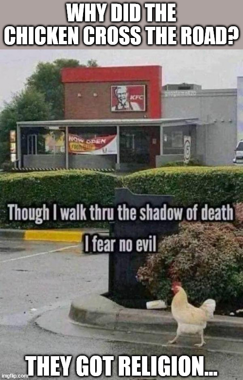 Why did the chicken cross the road... | WHY DID THE CHICKEN CROSS THE ROAD? THEY GOT RELIGION... | image tagged in chicken,joke | made w/ Imgflip meme maker