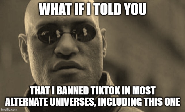 Ima ask you something.. | WHAT IF I TOLD YOU; THAT I BANNED TIKTOK IN MOST ALTERNATE UNIVERSES, INCLUDING THIS ONE | image tagged in memes,matrix morpheus | made w/ Imgflip meme maker