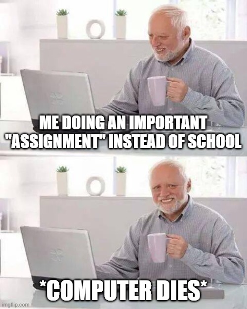 W-H-Y | ME DOING AN IMPORTANT "ASSIGNMENT" INSTEAD OF SCHOOL; *COMPUTER DIES* | image tagged in memes,hide the pain harold,online school | made w/ Imgflip meme maker