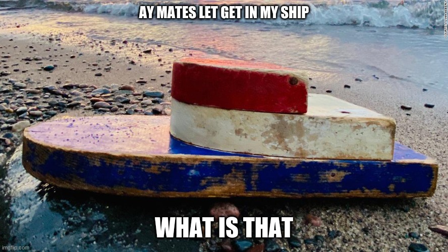 AY MATES LET GET IN MY SHIP; WHAT IS THAT | image tagged in pirates | made w/ Imgflip meme maker