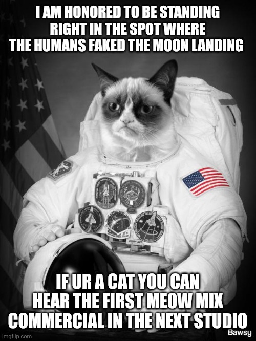 Grumpy Spacecat | I AM HONORED TO BE STANDING RIGHT IN THE SPOT WHERE THE HUMANS FAKED THE MOON LANDING; IF UR A CAT YOU CAN HEAR THE FIRST MEOW MIX COMMERCIAL IN THE NEXT STUDIO | image tagged in grumpy spacecat | made w/ Imgflip meme maker