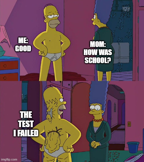 Who actually reads this? if you do, good for you and have a nice day | MOM: HOW WAS SCHOOL? ME: GOOD; THE TEST I FAILED | image tagged in homer simpson's back fat | made w/ Imgflip meme maker