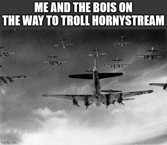 B-17 to Germany | ME AND THE BOIS ON THE WAY TO TROLL HORNYSTREAM | image tagged in b-17 to germany | made w/ Imgflip meme maker