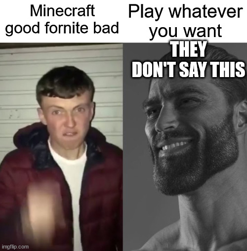 Average Fan vs Average Enjoyer | Minecraft good fornite bad Play whatever you want THEY DON'T SAY THIS | image tagged in average fan vs average enjoyer | made w/ Imgflip meme maker